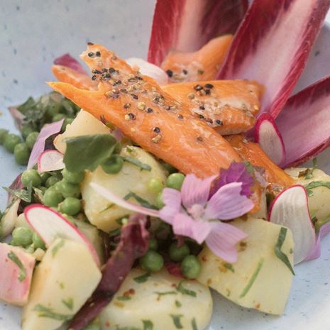 Peppered Hot Smoked Trout Recipe