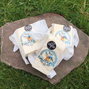 caws teifi welsh halloumi cheese 