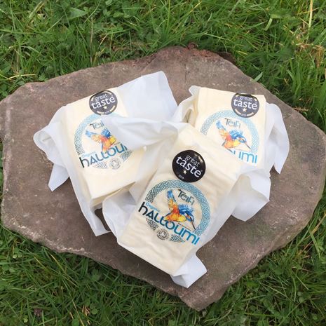 caws teifi welsh halloumi cheese
