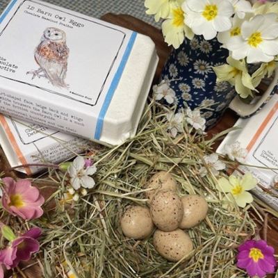 Chocolate Detective Bird Eggs