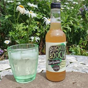 Blighty Booch Bramley Apple and Elderflower Kombucha Drink 