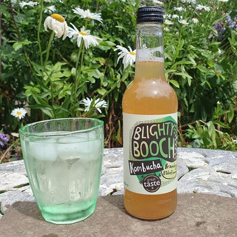 Blighty Booch Bramley Apple and Elderflower Kombucha Drink