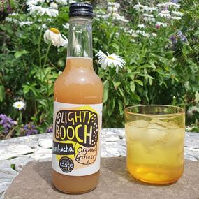 Blighty Booch Organic Ginger Kombucha Drink 