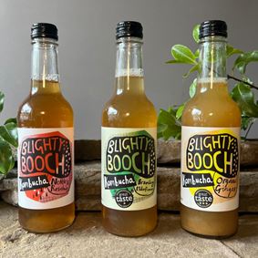 Blighty Booch Welsh Kombucha All