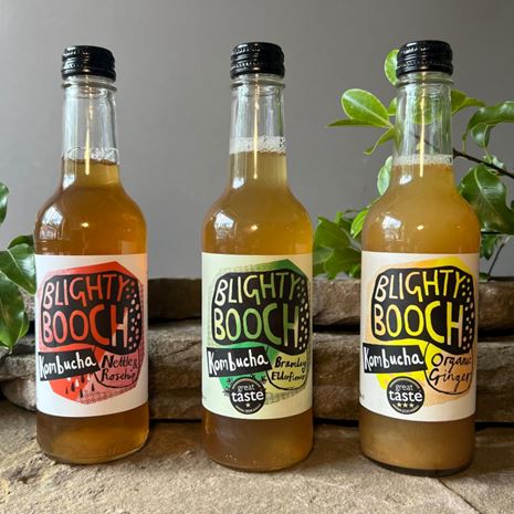 Blighty Booch Welsh Kombucha All