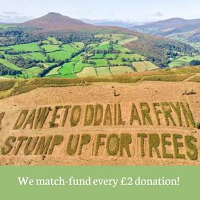 We match every £2 donation!