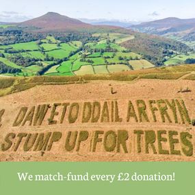 We match every £2 donation! 