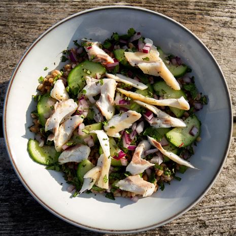 Sea Bass Spelt Salad